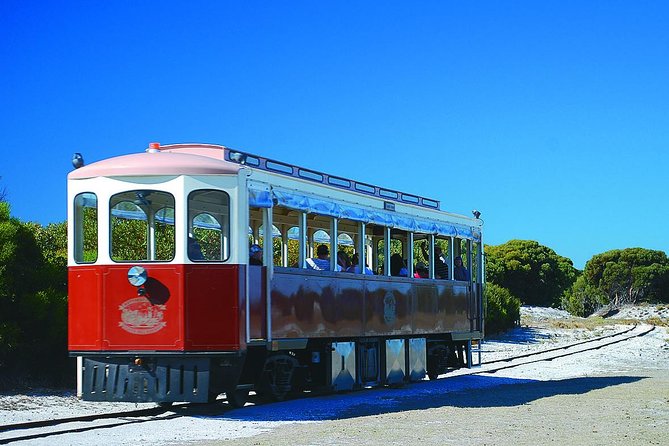 Rottnest Island Grand Tour Including Lunch and Historical Train Ride - Why this tour works well on Rottnest Island