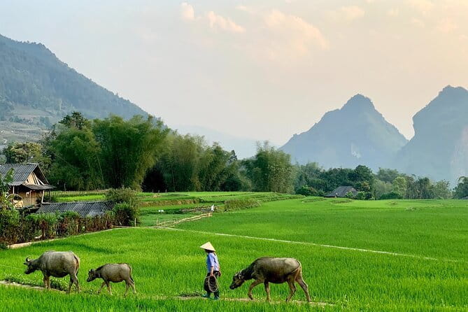 Sa Pa Trekking 2 Days 3 Nights Homestay by Night Train - The overnight train from Hanoi to Lao Cai