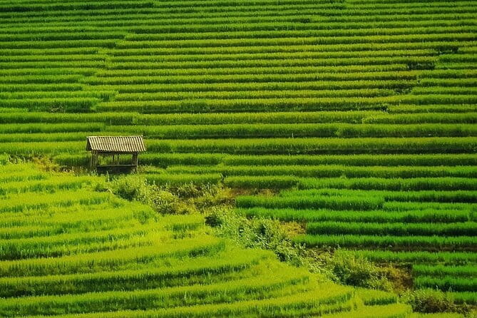 Sa Pa Trekking 2 Days 3 Nights Homestay by Night Train - Five to six hours through four hamlets