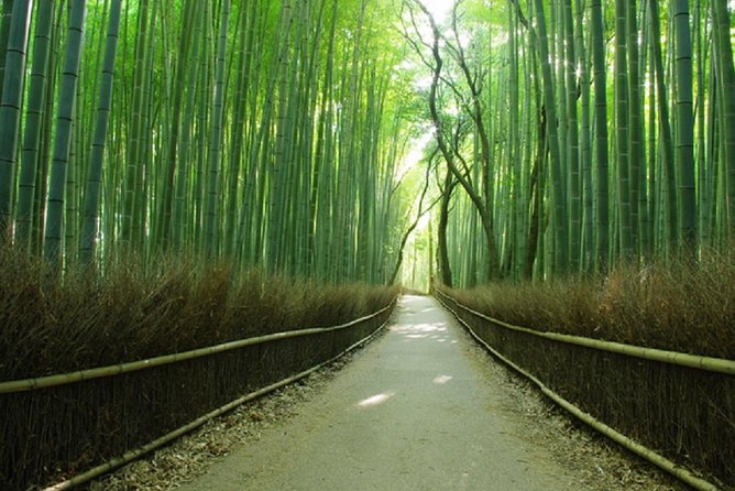 Sagano Romantic Train & Arashiyama, Kiyomizudera, Fushimi Inari Taisha Day Tour - Arashiyama bamboo and the Katsura River