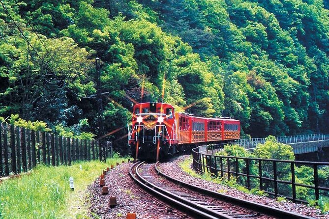 Sagano Romantic Train & Arashiyama, Kiyomizudera, Fushimi Inari Taisha Day Tour - Transport, timing, and the real pace of the day