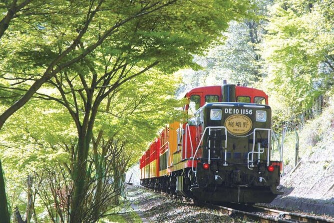 Sagano Romantic Train & Arashiyama, Kiyomizudera, Fushimi Inari Taisha Day Tour - Who should book this Kyoto tour