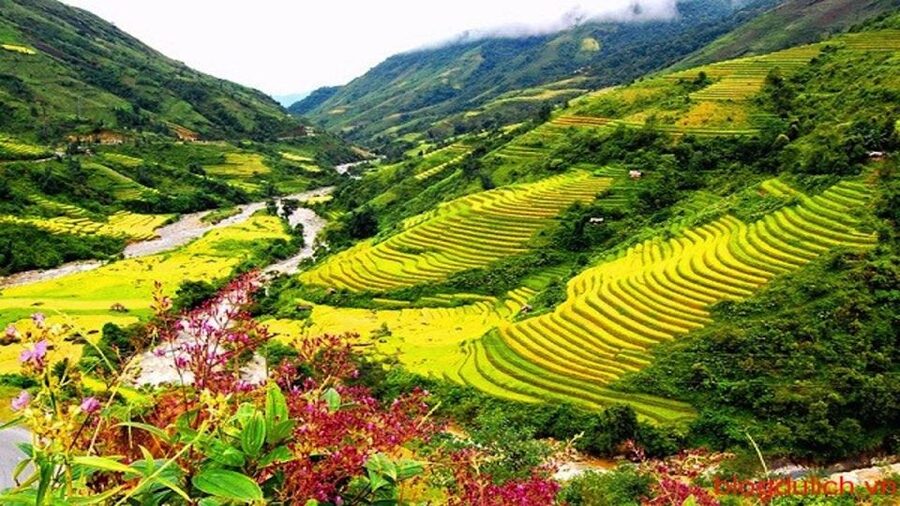 Sapa: 3-Day, 3-Night Trek and Hotel with Overnight Train - Guides, group size, and how the days feel