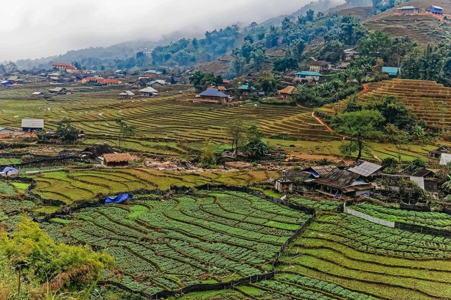 Sapa: 3-Day, 3-Night Trek and Hotel with Overnight Train - Hanoi to Lao Cai by overnight train