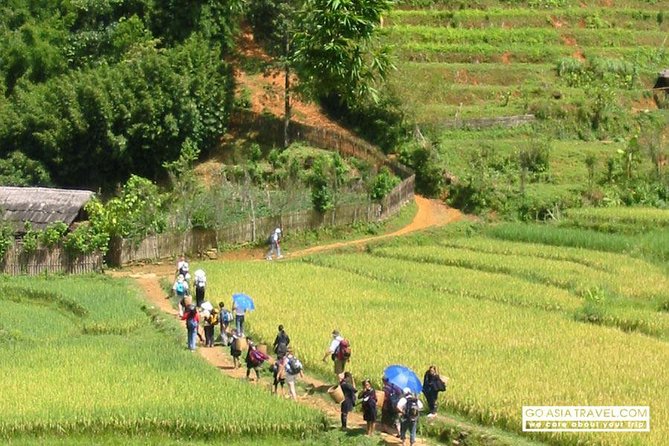 Sapa - Bac Ha Trek Tour - Night Train & Bus & Homestay overnight - Why this Sapa and Bac Ha trip works