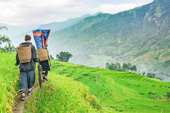 Sapa Trek Tour with Sleeper Bus/Night Train - Overnight at Hotel - Meals, luggage, and physical effort