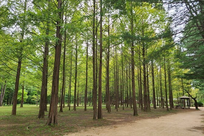 Scenic Escape: Nami Island, Garden of Morning Calm, and Rail Bike - Three Korean Escapes Beyond Seoul