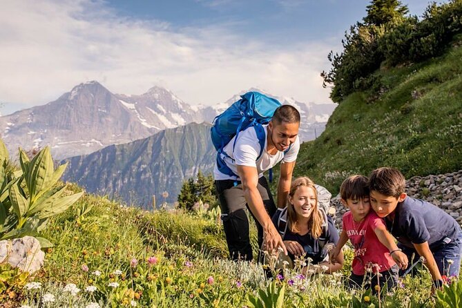 Schynige Platte Cogwheel Railway Return Ticket - How much value do you get for $85.07?