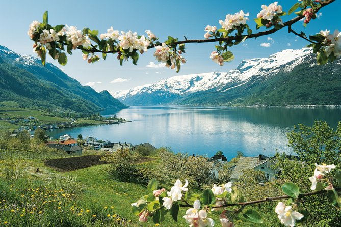 Self-Guided 22-Hour Round Trip From Oslo To Sognefjord With Flåm Railway - Voss and the final run to Bergen