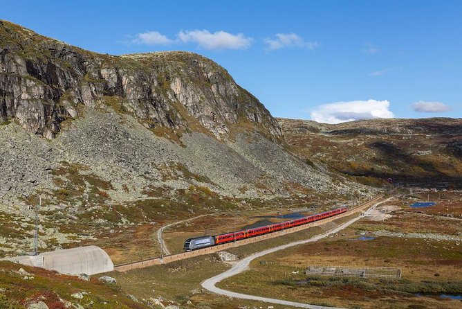 Self-Guided 22-Hour Round Trip From Oslo To Sognefjord With Flåm Railway - How much value do you get for $537.58?