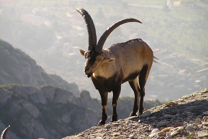Semi-Private Montserrat Monastery, Funicular & Scenic Nature Walk - Is the $89.53 price good value?