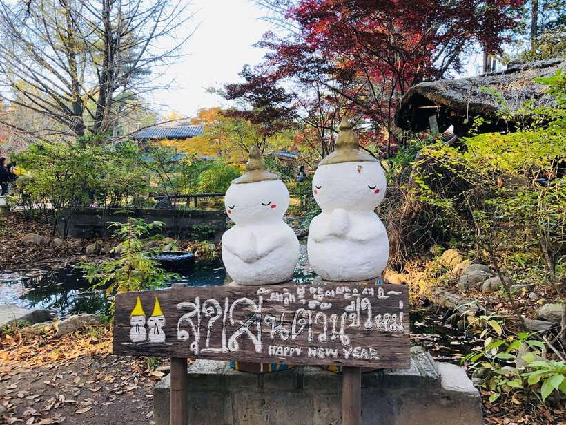 Seoul: Alpaca, Nami, Morning Calm or Eobi (+Rail Bike) - Nami Island, wooded paths and a long free-roaming visit