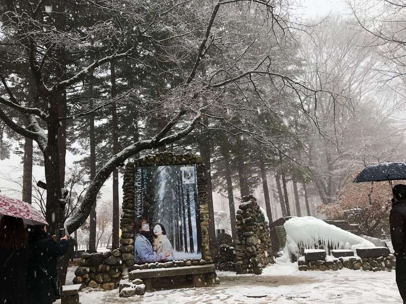 Seoul: Alpaca, Nami, Morning Calm or Eobi (+Rail Bike) - Garden of Morning Calm, Korea in formal garden form
