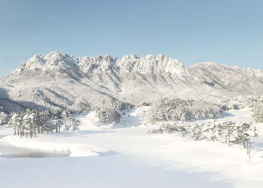 Seoul: Nami, Rail Bike, Morning Garden (+Healing Park) - Key points to know before booking