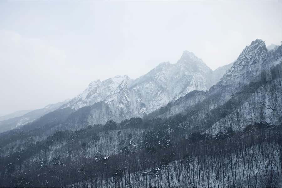 Seoul: Nami, Rail Bike, Morning Garden (+Healing Park) - Why this day trip works from Seoul