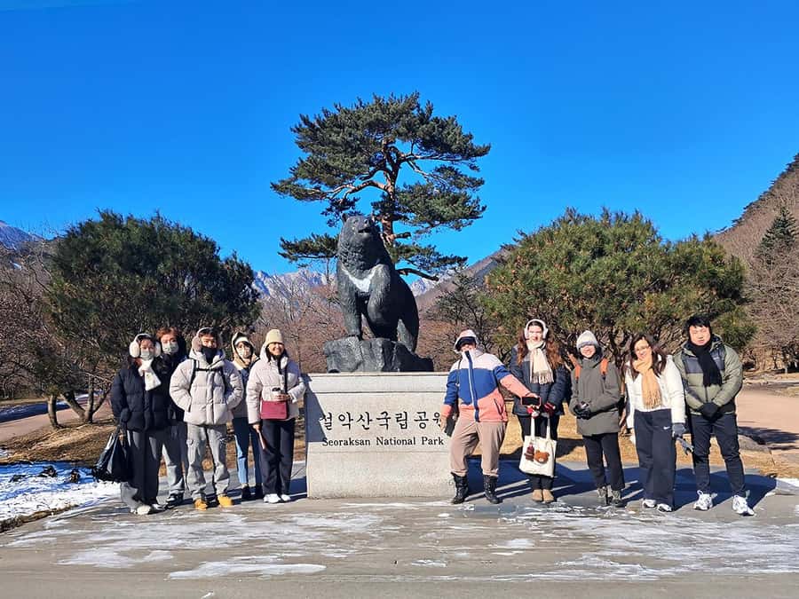 Seoul: Nami, Rail Bike, Morning Garden (+Healing Park) - Who should book this experience