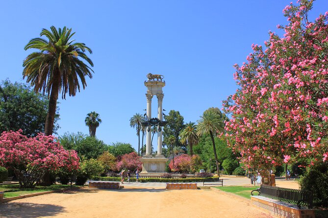 Seville in One Day by High speed Train from Madrid Private Tour - The main risks: cancellation and communication