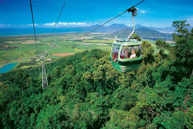 Skip the Line Kuranda Scenic Railway Gold Class and Skyrail Rainforest Cableway - Who will enjoy this day most