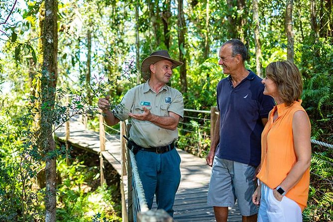 Skip the Line Kuranda Scenic Railway Gold Class and Skyrail Rainforest Cableway - Skyrail Rainforest Cableway: rainforest from above