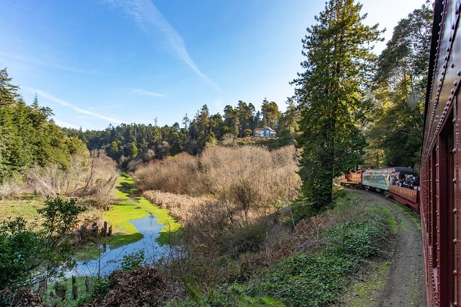 Skunk Train: Pudding Creek Express from Fort Bragg - Key points to know before boarding