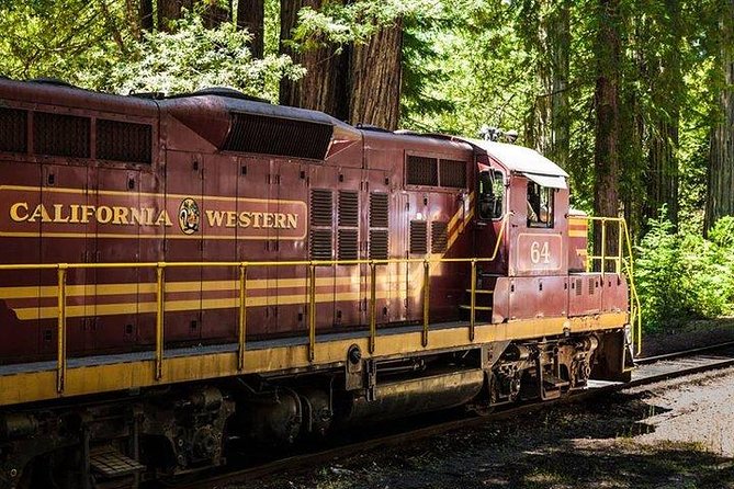 Skunk Train: Wolf Tree Turn from Willits - Key points to know before you board