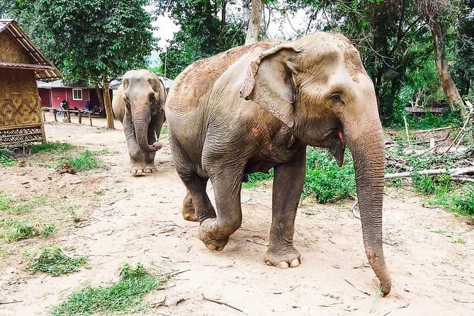 Small Group: Kanchanaburi Death Railway, Erawan Waterfall and Elephant - 6:00 AM departure and the road to Kanchanaburi