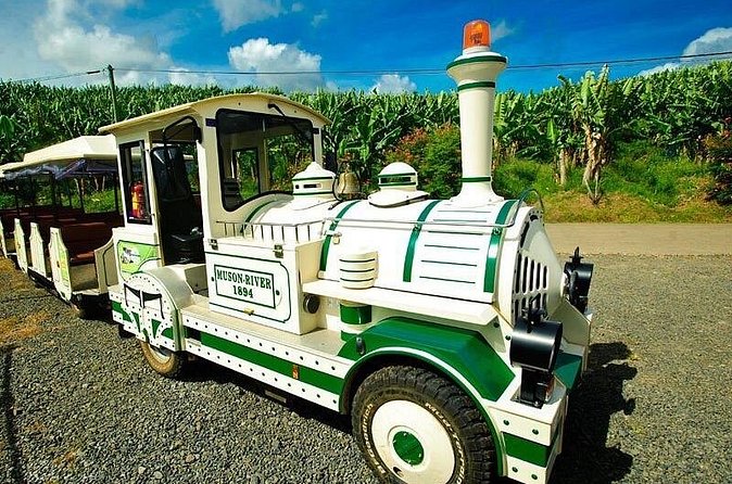 Small train tour of a banana farm in Martinique - The farm’s other sights: sugar cane, fruit trees, river, and turtles