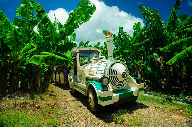 Small train tour of a banana farm in Martinique - Price and value at about $23.88