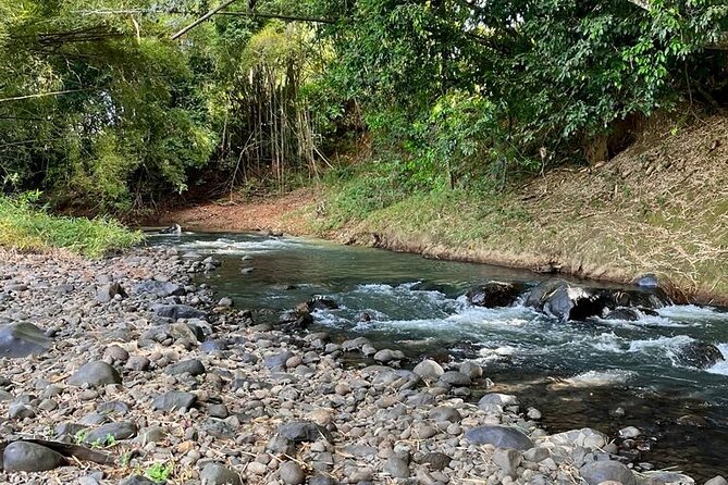 Small train tour of a banana farm in Martinique - Rain, comfort, and who should book