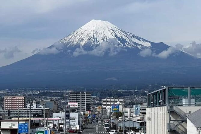 Snow Monkey Park and Miso Production Tour Bullet Train from Tokyo - How the guide shapes the day