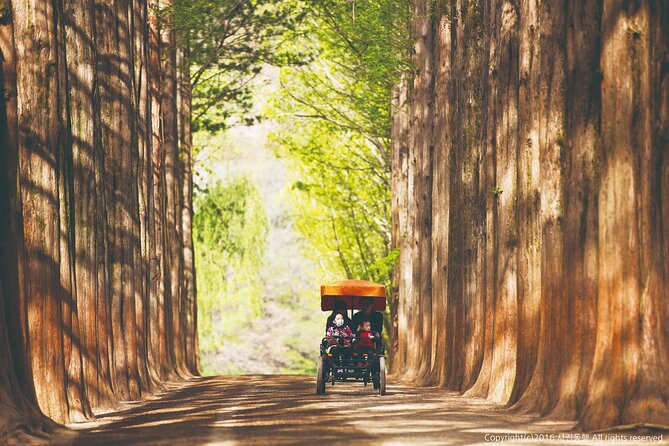 Special Private Tour Nami Island, Rail Bike, Petite France - Petite France: a compact French-themed village