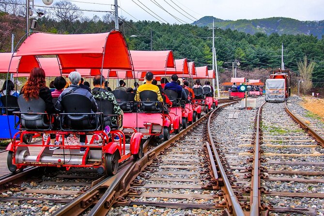 Special Private Tour Nami Island, Rail Bike, Petite France - How the timing shapes your day