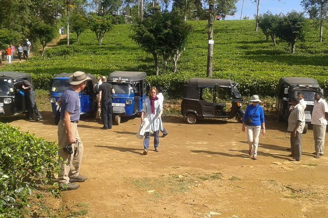 Special Tourists Train Ride in Ella - Calypso Train - What the scenery is really like