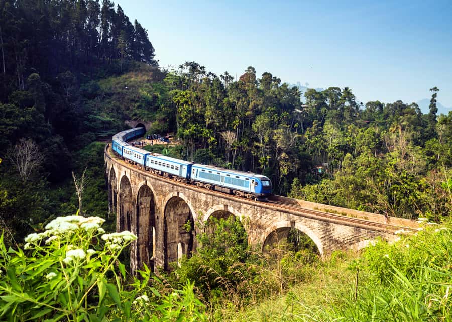 Sri Lanka Private 2-day Tour:Train Trip, Kandy, Nuwara Eliya - Who should book this hill-country tour