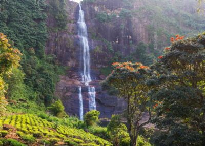 Sri Lanka Private 2-day Tour:Train Trip, Kandy, Nuwara Eliya