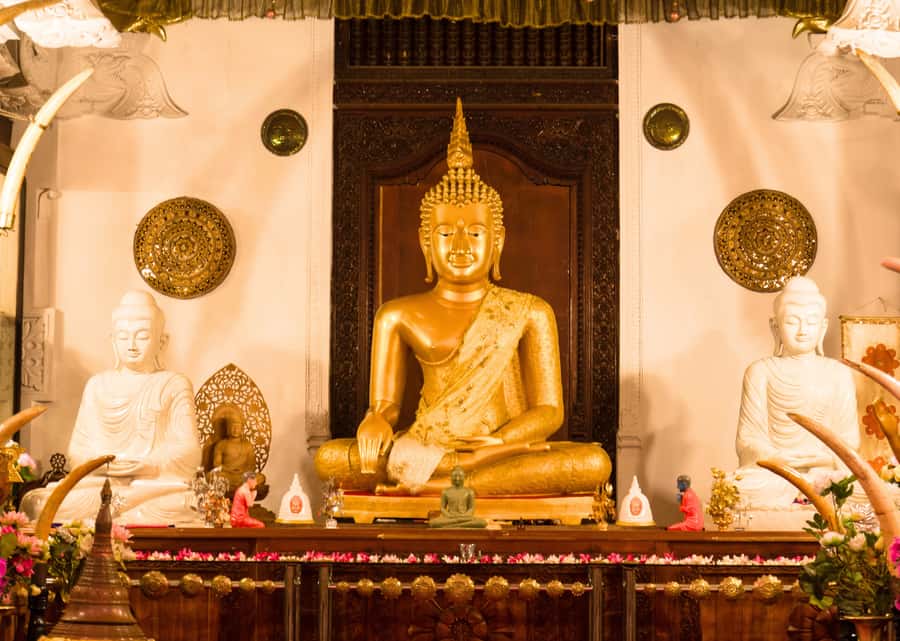 Sri Lanka Private 2-day Tour:Train Trip, Kandy, Nuwara Eliya - Drum dancing, fire walking, and dinner in Kandy