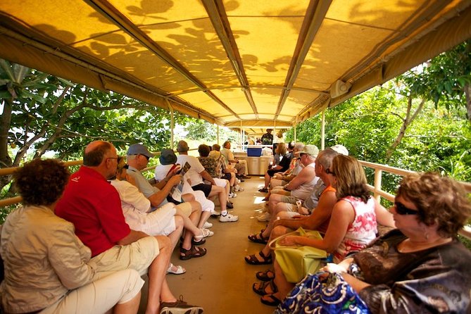 St Kitts Scenic Train Tour (Hotel or Ship) - Riding the old sugar route around Mount Liamuiga