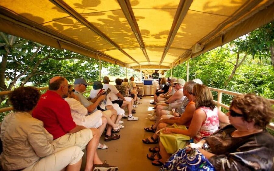 St. Kitts : Sugar Train with Pick Up & Drop-Off & Drinks - Choosing between the upper deck and air conditioning