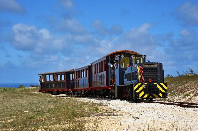 St. Nicholas Abbey & Heritage Railway - Timing, pickup, and group size