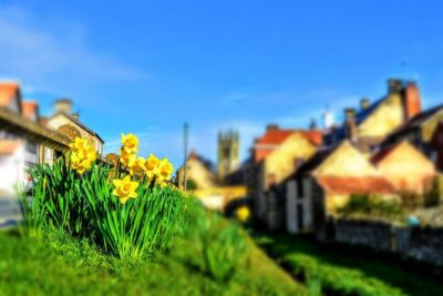 Steam Trains, Whitby, and the North York Moors Full-Day Tour from York