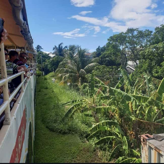 Sugar Train Tour & Drinks|Pick-Up &Drop Off From Cruise Port - A train ride through St. Kitts, not a plantation museum