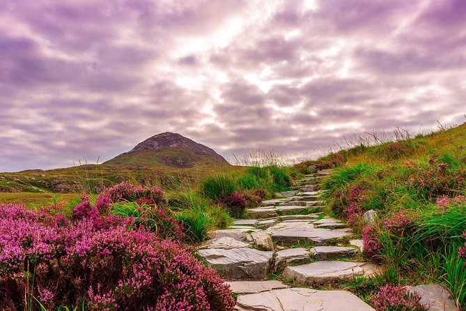 Sustainable Connemara and Galway Bay Rail Tour from Dublin - Roundstone Harbor and Galway Bay