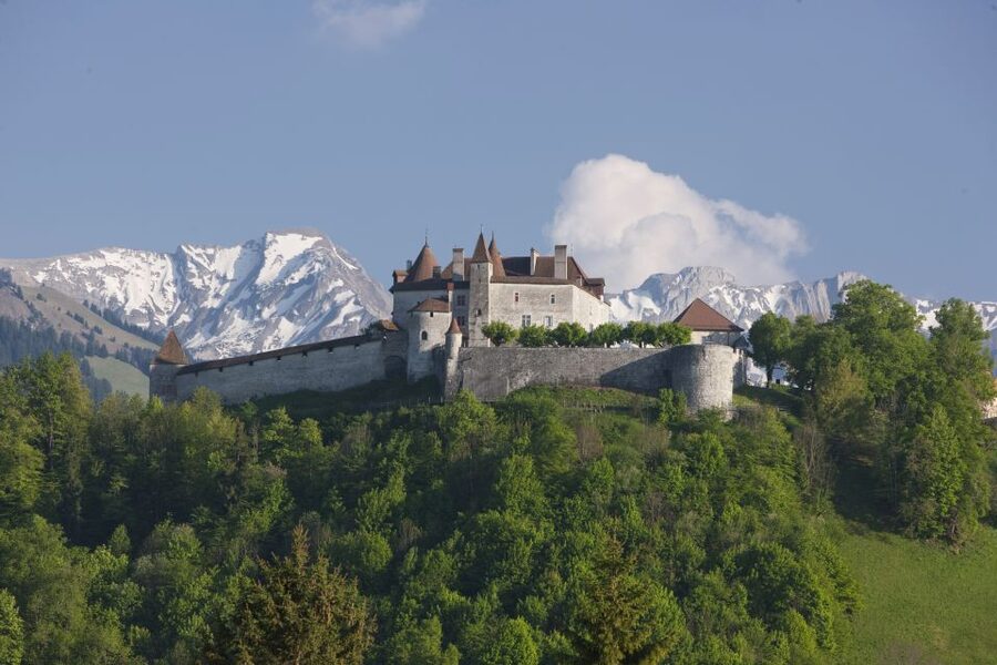 Switzerland: Train, Bus, Boat Travel Pass Flex - Museums give the pass a useful city side