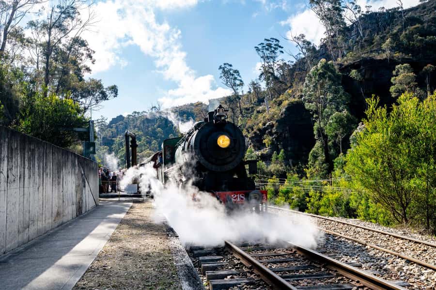 Sydney: Heritage Zig Zag Steam Train and Blue Mountains Tour - What the $131 price includes