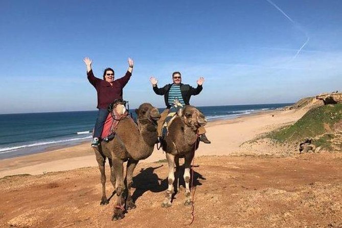 Tangier Private Day Trip from Casablanca by High Speed Train - Why the high-speed train changes the day