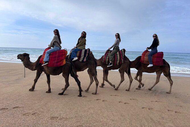 Tangier Tour from Casablanca by High Speed Train - Walking Tangier’s medina for three hours