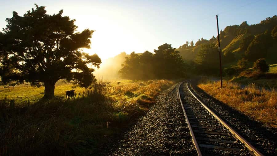 Taumarunui: Forgotten World Rail Cart Tour with Lunch - Key points at a glance