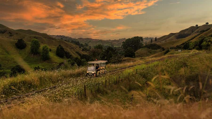 Taumarunui: Forgotten World Rail Cart Tour with Lunch - Why this old railway makes such a good outing