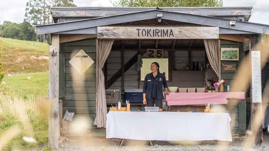 Taumarunui: Forgotten World Rail Cart Tour with Lunch - My verdict on the Forgotten World rail cart
