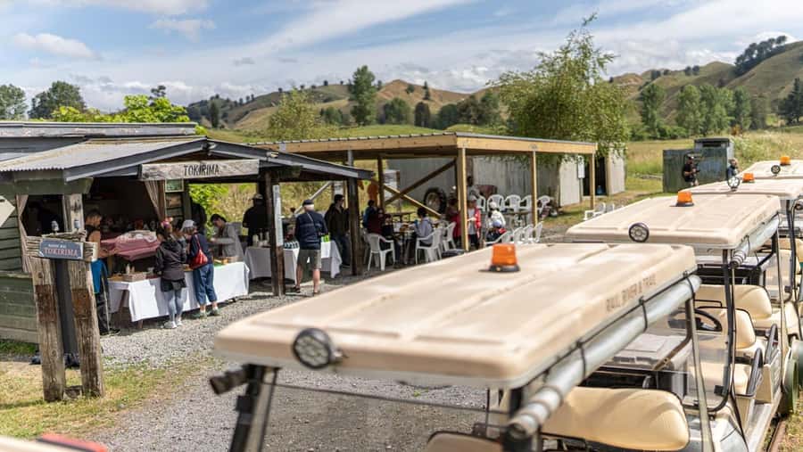 Taumarunui: Forgotten World Rail Cart Tour with Lunch - Starting at Taumarunui and Okahukura